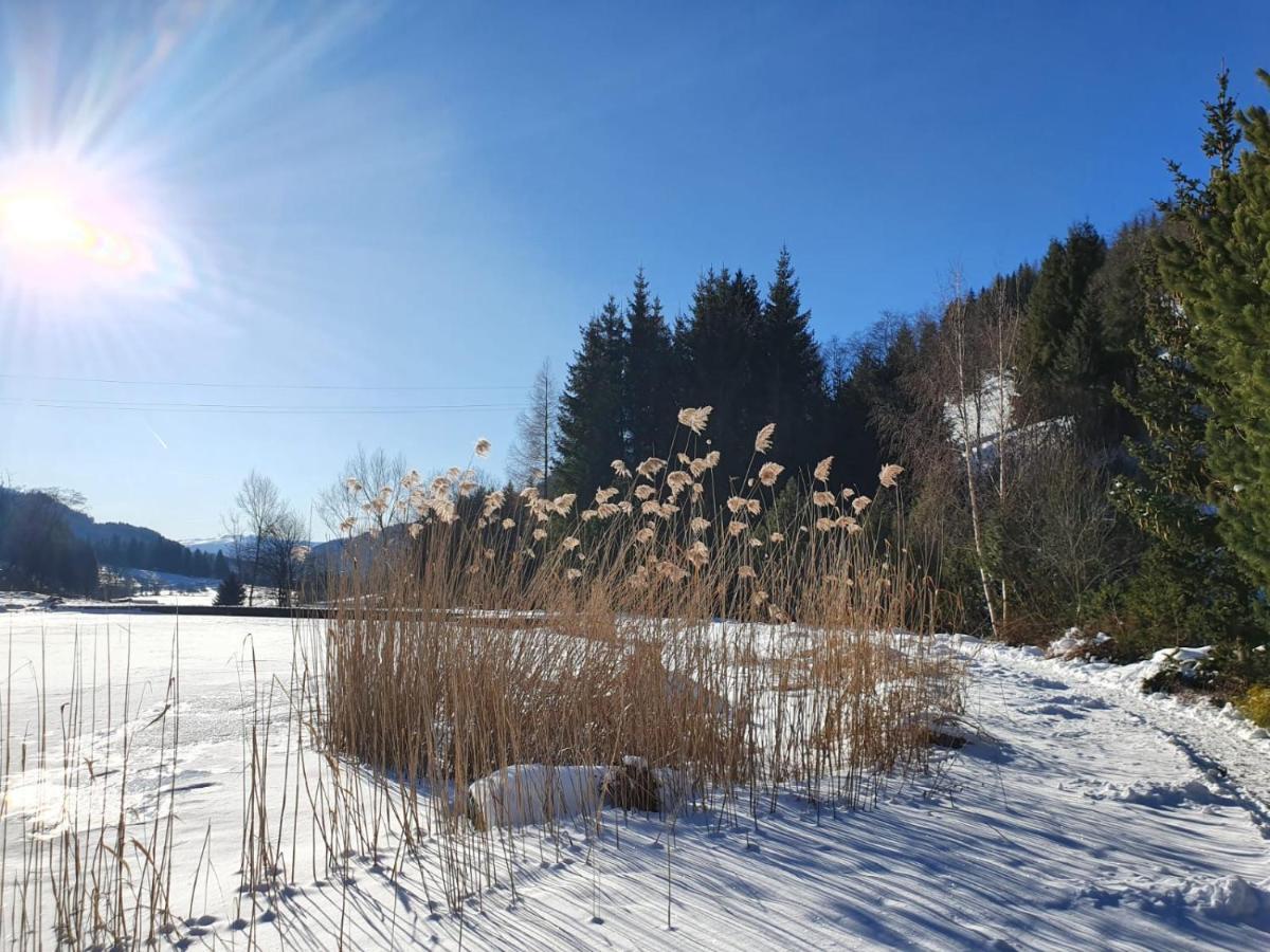 Grassegger Appartementhaus Sankt Johann am Tauern Εξωτερικό φωτογραφία